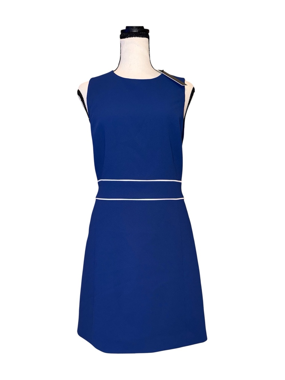 Title: Alice + Olivia Blue Azure Colorblock Shift Dress Size 4 NWT Double Stripe